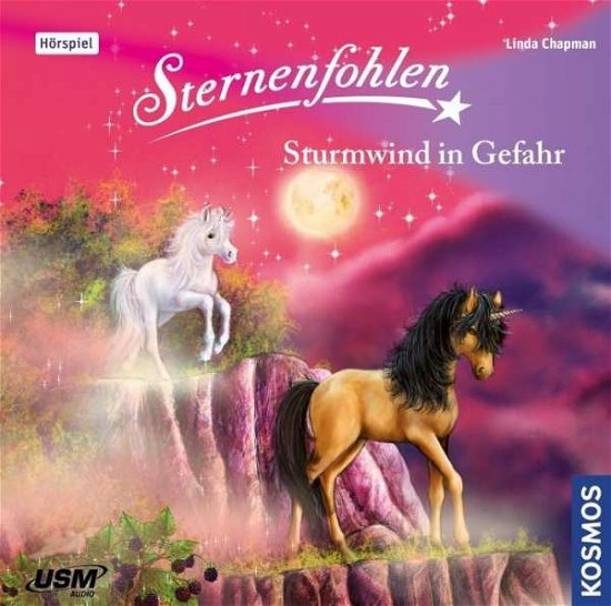 Cover for Sternenfohlen · Sternenfohlen 15: Sturmwind in Gefahr (CD) (2019)