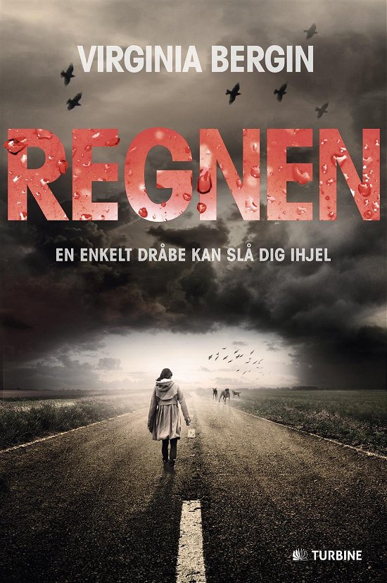 Cover for Virginia Bergin · Regnen (Sewn Spine Book) [1e uitgave] (2016)