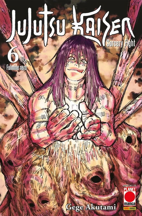 Cover for Akutami Gege · Jujutsu Kaisen. Sorcery Fight #06 (Book)