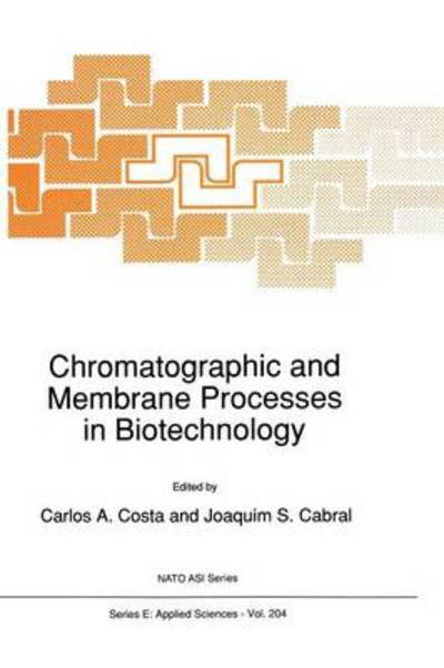 Chromatographic and Membrane Processes in Biotechnology - Nato Science Series E: - C a Costa - Books - Springer - 9789401055352 - October 26, 2012