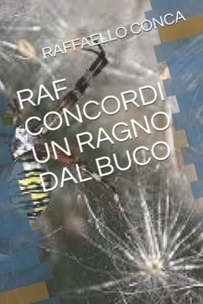 Cover for Raffaello Conca · RAF Concordi Un Ragno Dal Buco (Paperback Book) (2021)