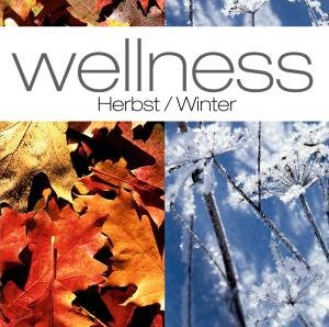 Wellness:Herbst / Winter - V/A - Música - ZYX - 0090204686353 - 30 de agosto de 2007