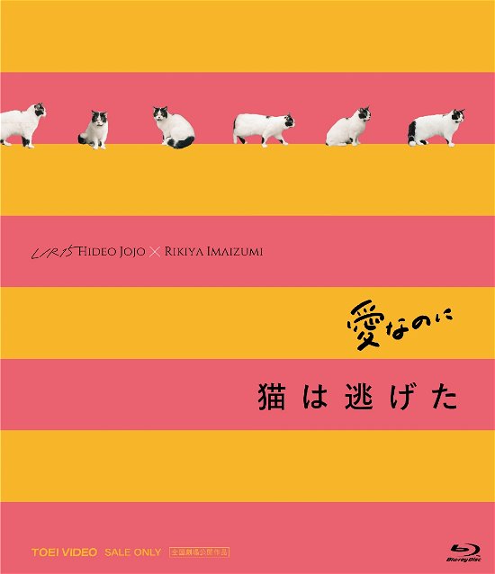 [ai Nanoni][neko Ha Nigeta]l/r15 Complete Blu-ray - (Omnibus Movies) - Musikk - TOEI VIDEO CO. - 4988101219353 - 3. august 2022