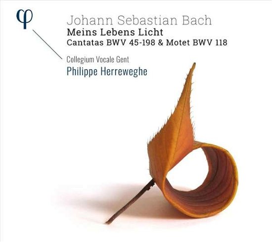 Bach: Meins Lebens Licht - Collegium Vocale Gent / Philippe Herreweghe / Dorothee Mields - Musik - PHI - 5400439000353 - 30. März 2021