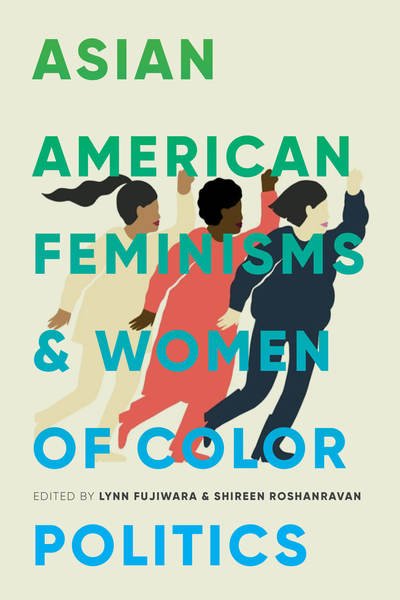 Cover for Asian American Feminisms and Women of Color Politics - Decolonizing Feminisms (Paperback Book) (2018)