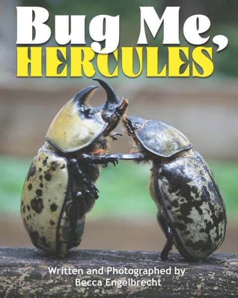 Cover for Becca Engelbrecht · Bug Me, Hercules (Taschenbuch) (2020)