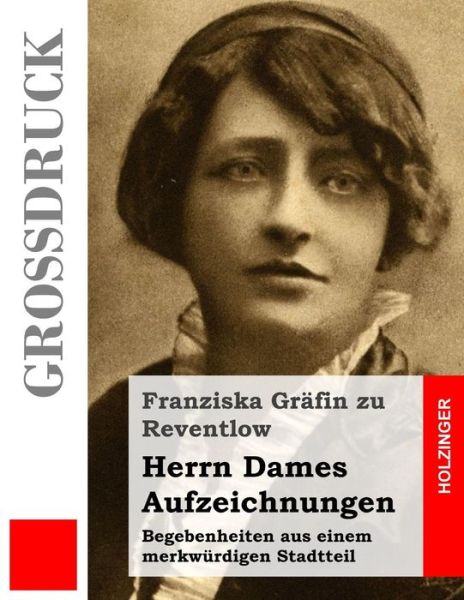 Cover for Franziska Gräfin Zu Reventlow · Herrn Dames Aufzeichnungen (Großdruck): Begebenheiten Aus Einem Merkwürdigen Stadtteil (Paperback Book) [German, Lrg edition] (2013)