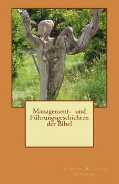 Cover for August-Wilhelm Schinkel · Management- und Fuehrungsgeschichten der Bibel (Paperback Book) (2016)