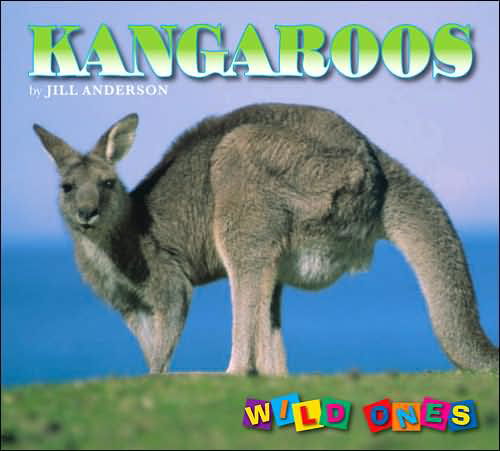 Cover for Jill Anderson · Kangaroos - Wild Ones (Innbunden bok) (2006)