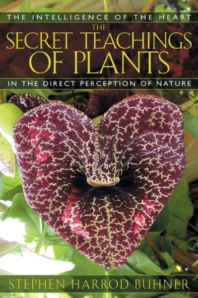 The Secret Teachings of Plants: The Intelligence of the Heart in Direct Perception to Nature - Stephen Harrod Buhner - Libros - Inner Traditions Bear and Company - 9781591430353 - 1 de octubre de 2004