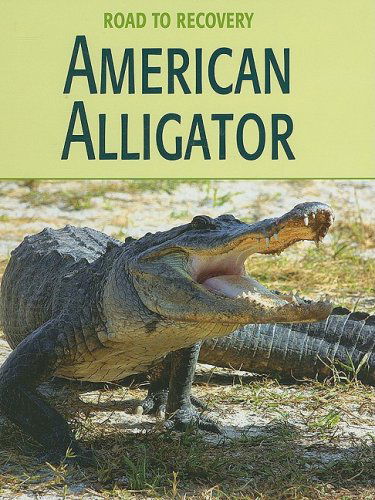 Cover for Susan Heinrichs Gray · American Alligator (Road to Recovery) (Hardcover Book) (2007)
