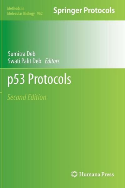 Cover for Sumitra Deb · P53 Protocols - Methods in Molecular Biology (Hardcover Book) [2nd ed. 2013 edition] (2012)