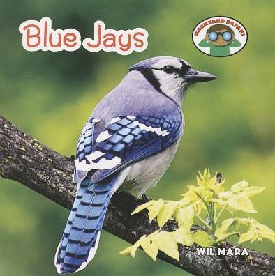 Cover for Wil Mara · Blue Jays (Backyard Safari) (Paperback Book) (2014)