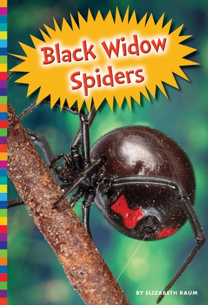 Cover for Elizabeth Raum · Black Widow Spiders (Book) (2015)