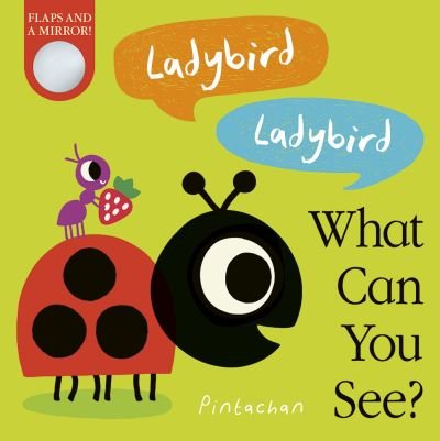 Cover for Amelia Hepworth · Ladybird! Ladybird! What Can You See? - What Can You See? (Kartongbok) (2021)