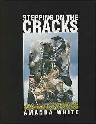 Cover for Amanda White · Stepping on the Cracks (Paperback Book) (1999)