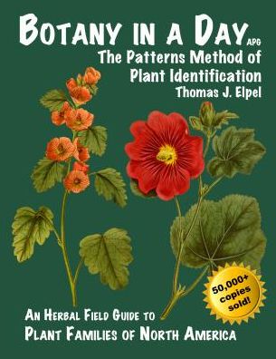 Cover for Thomas J. Elpel · Botany in a Day: the Patterns Method of Plant Identification (Paperback Book) [6th edition] (2013)