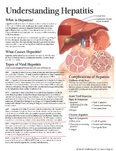 Cover for Scientific Publishing · Understanding Hepatitis Model (MERCH) (2015)