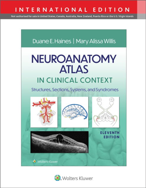 Cover for Duane E. Haines · Neuroanatomy Atlas in Clinical Context: Structures, Sections, Systems, and Syndromes (Paperback Book) [Eleventh, International edition] (2024)