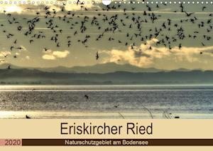 Cover for Brinker · Eriskircher Ried - Naturschutzg (Book)