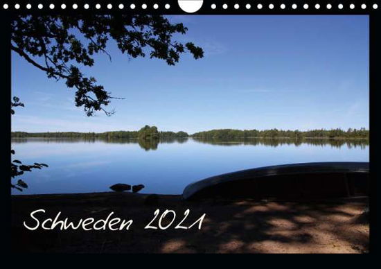 Cover for Rieger · Schweden 2021 (Wandkalender 2021 (Bok)