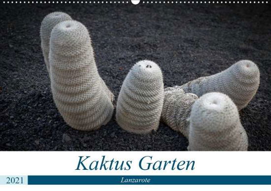 Cover for Krieger · Kaktus Garten Lanzarote (Wandka (Book)