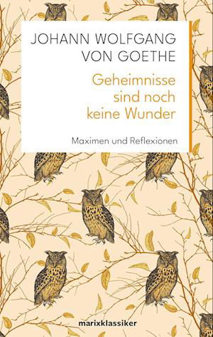 Geheimnisse sind noch keine Wunder - Johann Wolfgang von Goethe - Books - marix Verlag ein Imprint von Verlagshaus - 9783737412353 - February 20, 2024