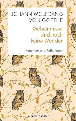 Geheimnisse sind noch keine Wunder - Johann Wolfgang von Goethe - Boeken - marix Verlag ein Imprint von Verlagshaus - 9783737412353 - 20 februari 2024