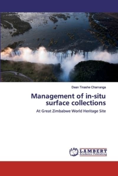 Cover for Chamanga · Management of in-situ surface (Bok) (2019)
