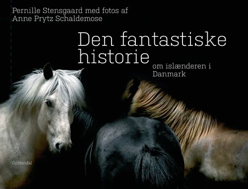 Cover for Pernille Stensgaard · Den fantastiske historie om islænderen i Danmark (Bound Book) [1.º edición] [Indbundet] (2011)