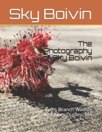 Cover for Sky Boivin · The Photography of Sky Boivin (Pocketbok) (2020)