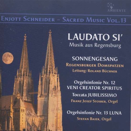 Cover for Enjott Schneider · Geistliche Musik Vol.13 (CD) (2016)
