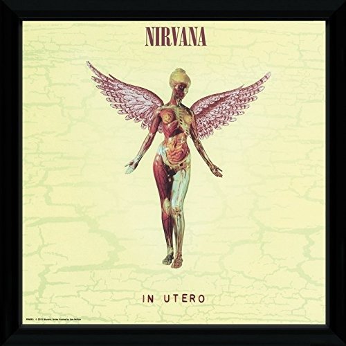 Cover for Nirvana · Nirvana: In Utero (Stampa In Cornice 30x30 Cm) (MERCH)