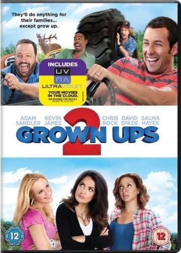 Cover for Grown Ups 2 [edizione: Regno U · Grown Ups 2 (DVD) (2013)