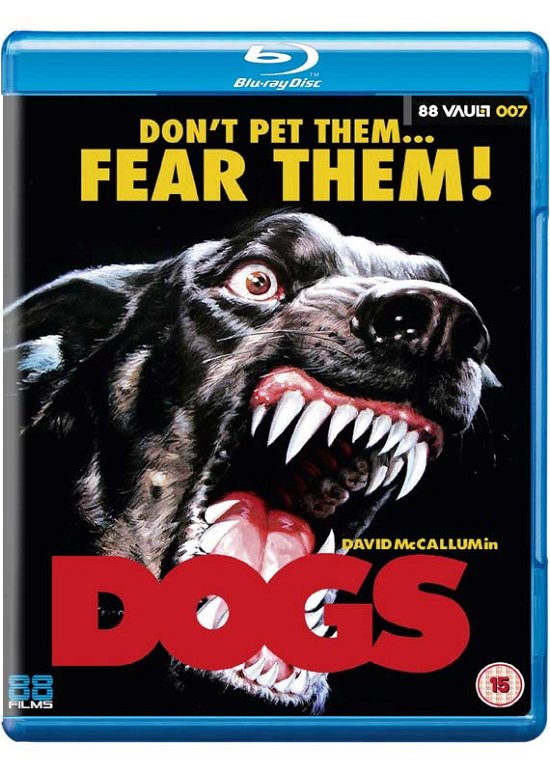Dogs BD - Movie - Films - 88 FILMS - 5060496451354 - 8 janvier 2018