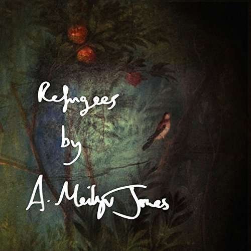 Cover for Meilyr Jones · Refugees/ Birds (LP) [Standard edition] (2015)