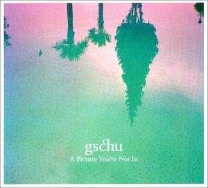 Cover for Gschu · A Picture You're Not in (CD) (2021)