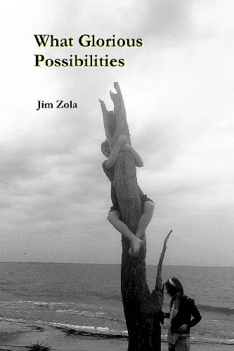 Cover for Jim Zola · What Glorious Possibilities (Paperback Book) (2014)