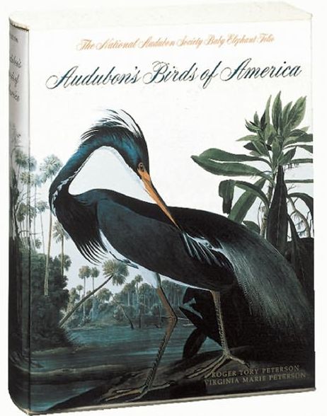 Cover for John James Audubon · Audubon's Birds of America: Revised Edition (Hardcover Book) (2013)