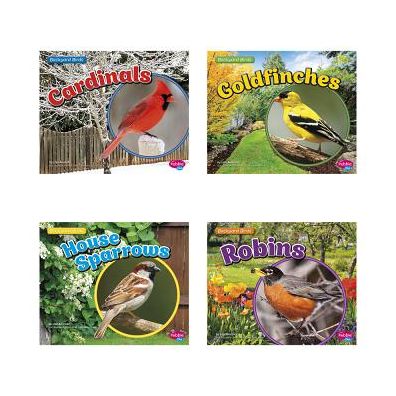 Backyard Birds - Lisa J. Amstutz - Books - Capstone Press - 9781491485354 - 2016