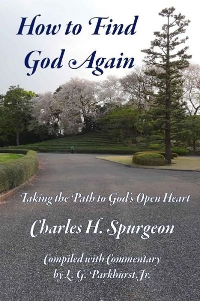 Cover for L G Parkhurst Jr · How to Find God Again: Taking the Path to God's Open Heart (Paperback Bog) (2015)