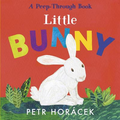 Cover for Petr Horacek · Little Bunny (Board book) (2024)