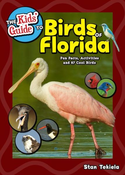 The Kids' Guide to Birds of Florida: Fun Facts, Activities and 87 Cool Birds - Birding Children's Books - Stan Tekiela - Libros - Adventure Publications, Incorporated - 9781591938354 - 2 de mayo de 2019