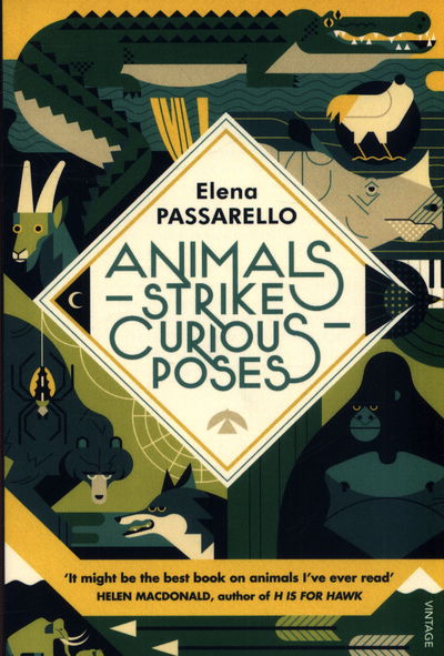 Cover for Elena Passarello · Animals Strike Curious Poses (Paperback Book) (2018)