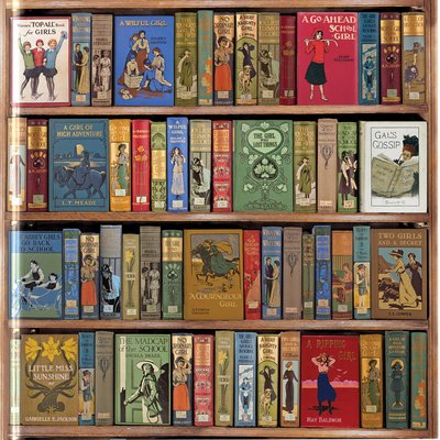 Adult Jigsaw Puzzle Bodleian Library: High Jinks Bookshelves: 1000-Piece Jigsaw Puzzles - 1000-piece Jigsaw Puzzles (GAME) [New edition] (2017)