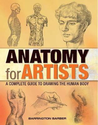 Cover for Barrington Barber · Anatomy for Artists: A Complete Guide to Drawing the Human Body (Taschenbuch) (2018)