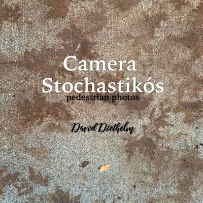 Cover for David Diethelm · Camera Stochastikos: pedestrian photos (Pocketbok) (2020)