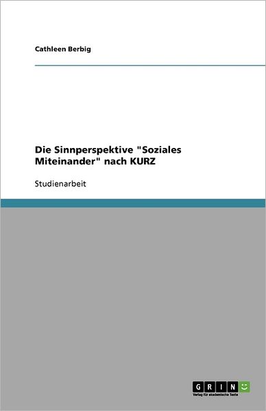 Die Sinnperspektive "Soziales Mi - Berbig - Books -  - 9783640580354 - 