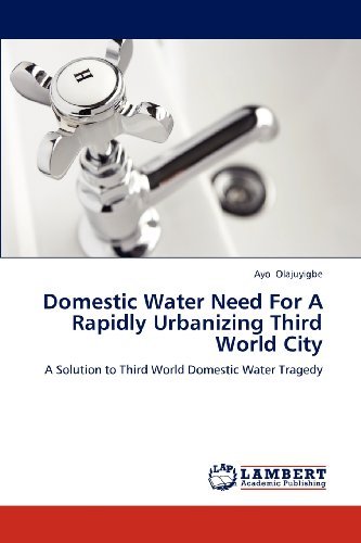 Cover for Ayo Olajuyigbe · Domestic Water Need for a Rapidly Urbanizing Third World City: a Solution to Third World Domestic Water Tragedy (Pocketbok) (2012)