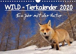 Cover for Colombo · WILD - Tierkalender 2020 (Wandk (Bog)
